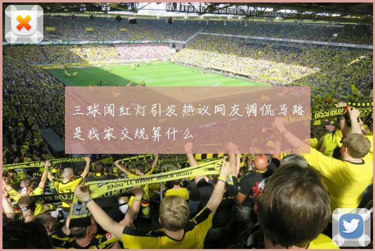 三球闯红灯引发热议网友调侃马路是我家交规算什么